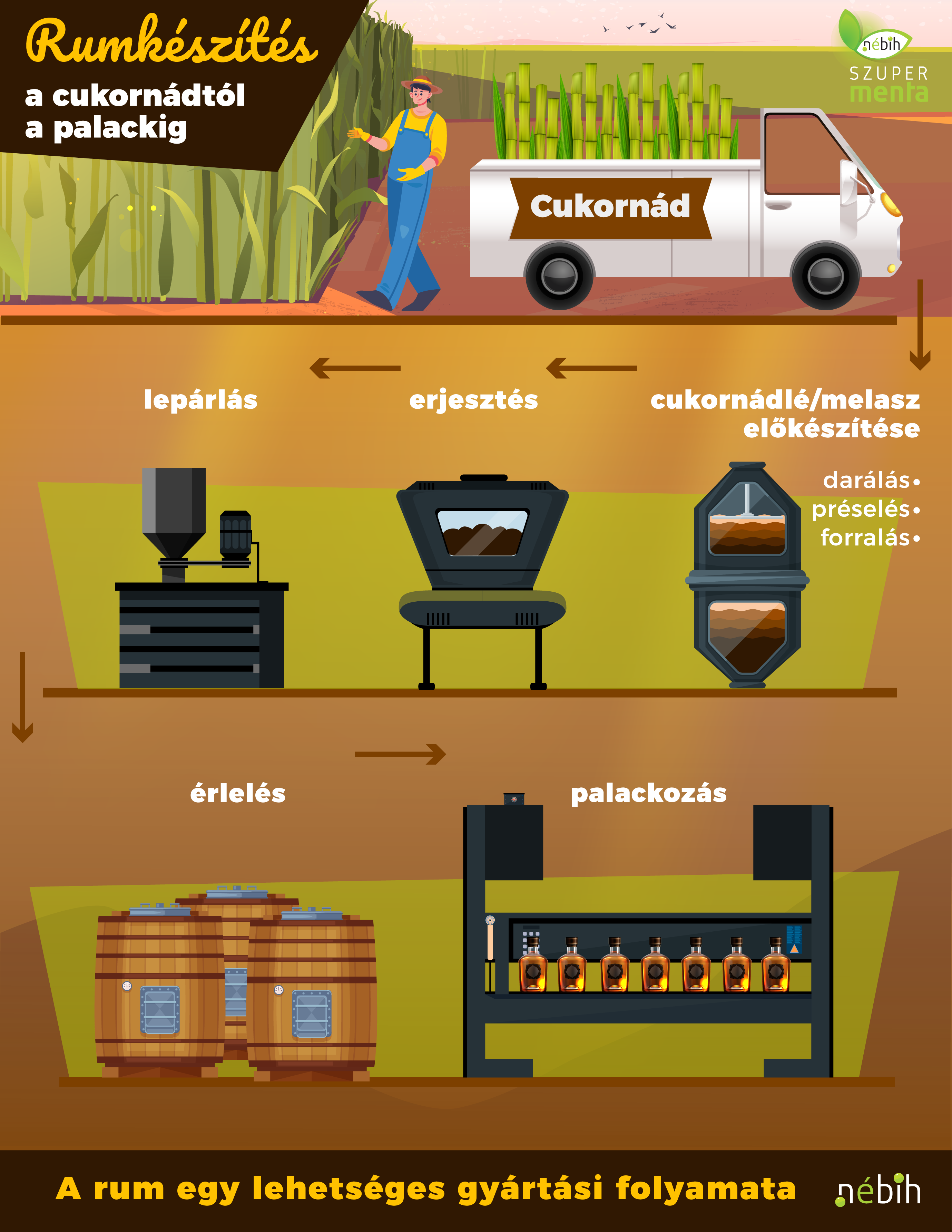 A Hogyan készül a rum? című cikk illusztrálására szolgáló grafika, mely a rumkészítés egy lehetséges folyamatát mutatja be.