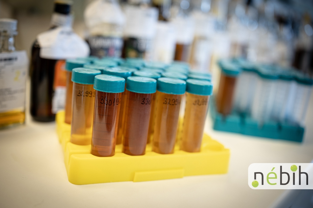 Laboratóriumi vizsgálatra előkészített rum mintákat tartalmazó fiolák vannak egy tárolóban elhelyezve az asztalon.