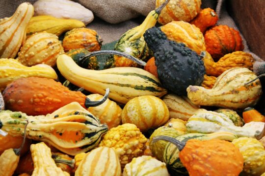 Különböző színű és formájú dísztökök.