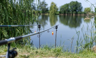 Horgászbotok a tóparton