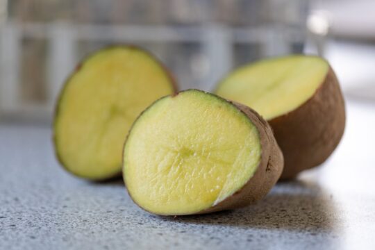 Félbe vágott, zöldre színeződött burgonyák vannak egy asztalon.