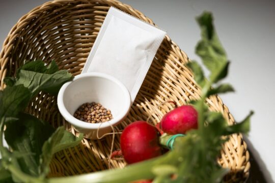 Fonott kosárban kettő piros retek, és kis fehér pohárkában retek vetőmag van.